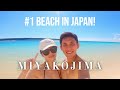 The best beach in japan  yonaha maehama beach  miyakojima vlog part 1