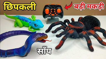 Remote Control-Rc Snake Unboxing & Prank