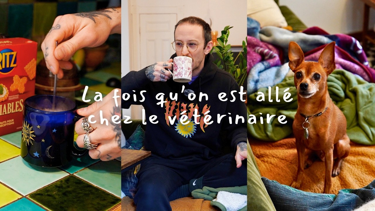 J'ai dû aller chez le vétérinaire avec Albert (mieux vaut prévenir que guérir). 🐕