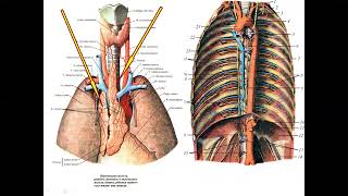 Толық әйелдермен ауызша секс Достың ренжіп жатқанын көру