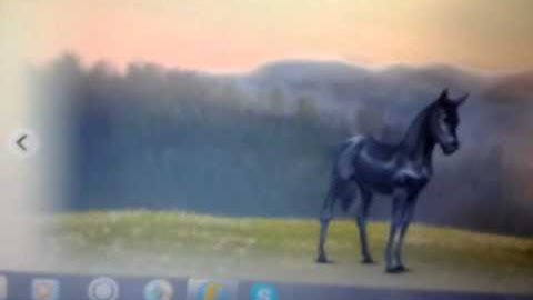 Howrse tutorial ep 1- registration