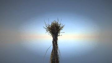 Branches RealFlow 2015 Test Render with Dyverso Spline Emitters