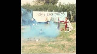 sun city girls - cia man