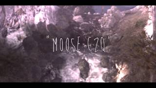 Moose C2Q