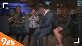 Petline9: Colorado Feline Foster Rescue