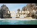 1 Hour 40Hz Gamma Waves LoFi Music for Concentration |  Los Cabos | Deep Work &amp; Study