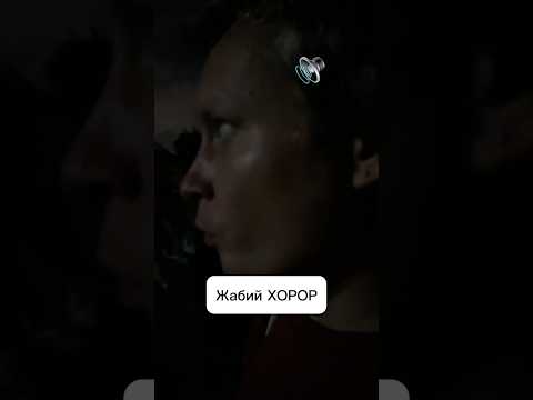 Жабий сезон Жизнь в тайской деревне Такой ор стоит теперь каждую ночь #тайланд #природа #животные