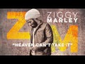 Heaven Can't Take It - Ziggy Marley (w/Stephen Marley) | ZIGGY MARLEY (2016)