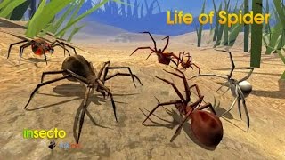 Life of Spider Android Gameplay #2 screenshot 5