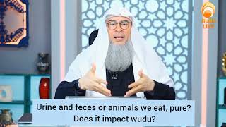 Is urine & feces (droppings) of animals we eat, pure? Does it impact our wudu? - Assim al hakeem