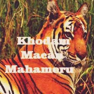 Khodam Spirit Harimau Mahameru