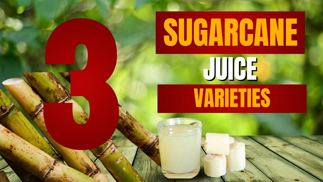 Tasting 3 Sugarcane Varieties! - YouTube