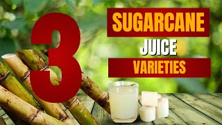 Download Lagu Tasting 3 Sugarcane Varieties! MP3
