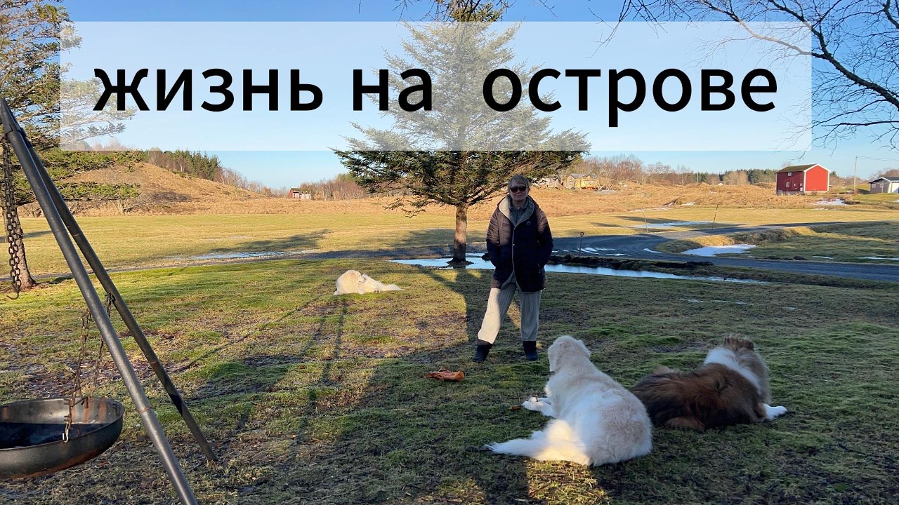 Спокойная жизнь.Прогулка и воспоминание о ферме