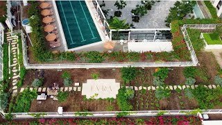 Rooftop Urban Farm - EVRA Restaurant and Market #totalfusionplatinum #health #organic #fresh #chef Evra Menu
