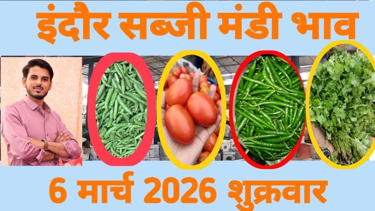 सब्जी मंडी इंदौर 🫑🍅🥔🧄// mp mandi bhav // #sabjimandi #vegetables