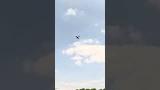 PILOT RC SLICK 74” FLOWN (35CC DLE35RA)