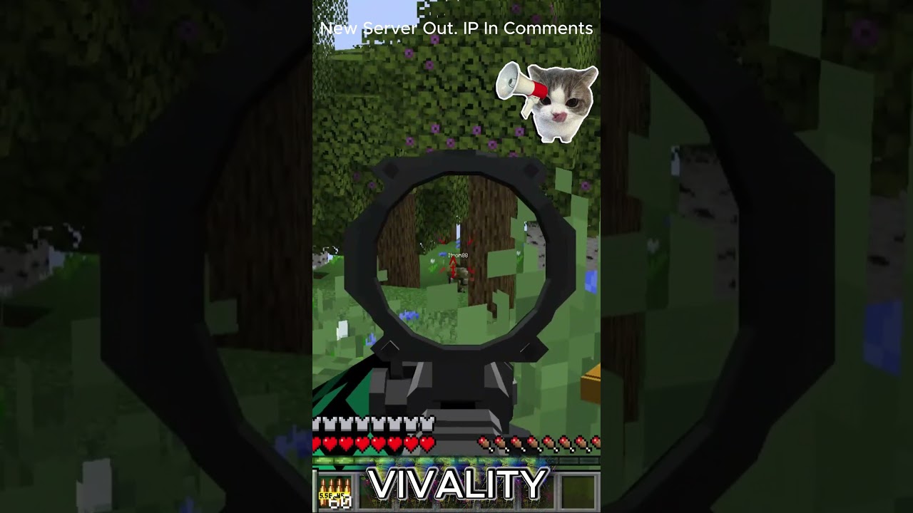 This NEW MC Gun Server Changes Everything… (VIVALITY)