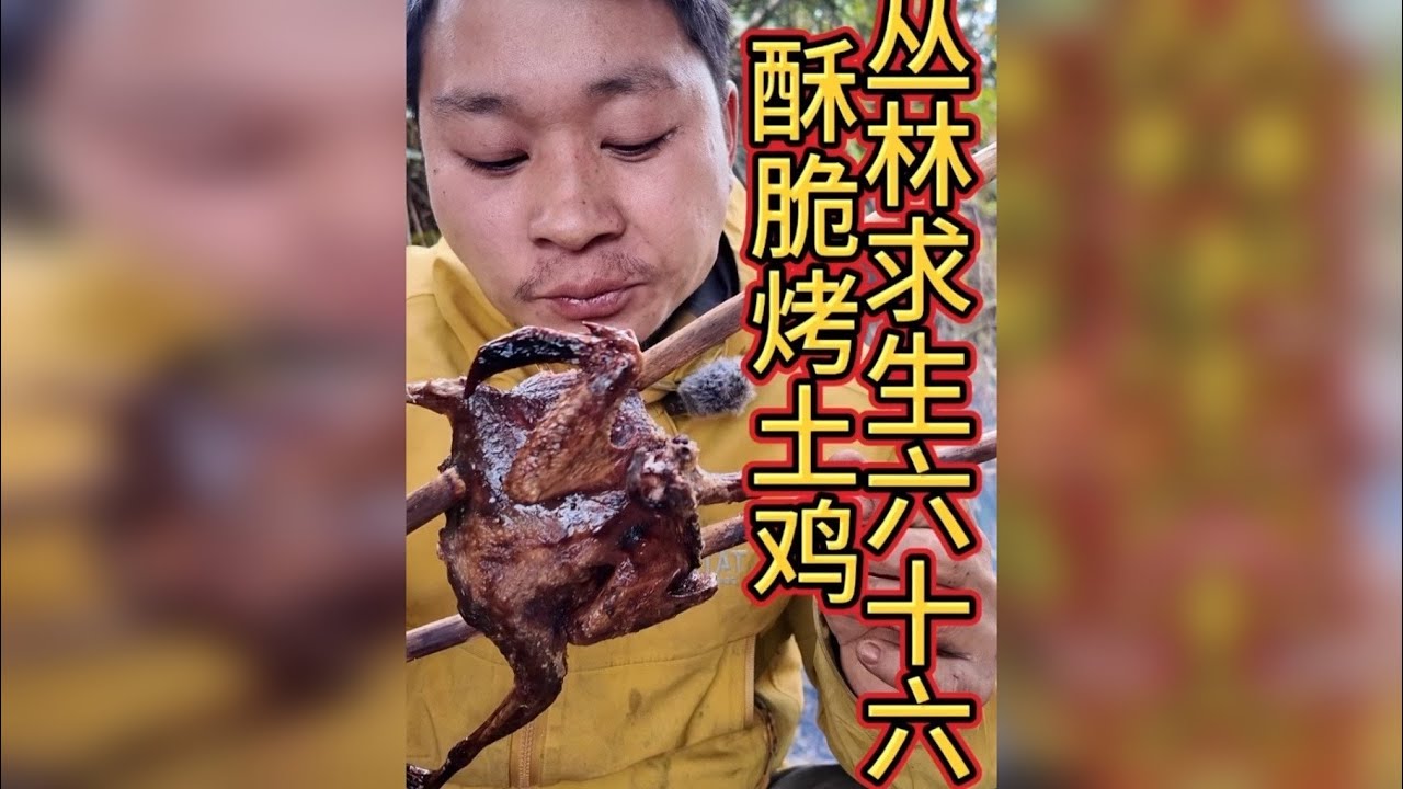 丛林求生六十六 今天出去几个小时毫无收获，只能下山去买个鸡回来了，我的烧烤水平真的越看越高了！