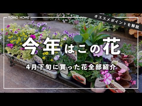 フラワー・ガーデニング Flower lovers Recommended] Introducing all the flowers I chose, along with