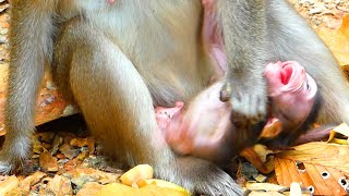 Cruelty Female Anna Never Keep Baby Ara In Her Eyes, Anna Squeeze Aras Throat To Stop Breathing