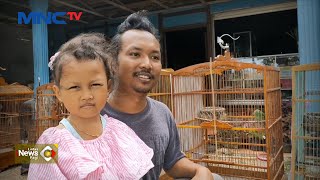 Pria di Bojonegoro Sukses Raih Cuan dari Hasil Penangkaran Burung Cucak Ijo #LintasiNewsPagi 06/02
