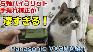 もうブレない！５軸ハイブリット手振れ補正がスゴすぎ☆パナソニックVX2Mを購入したので紹介☆使用感レビュー【リキちゃんねる　猫動画】Cat video　猫と一緒に商品紹介