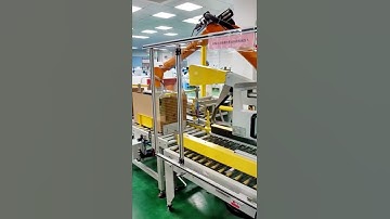 Robot palletizer for cartons ,Robot case packer with adding cardboard ,box sealer