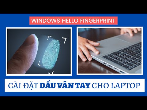 Video Cách cài vân tay cho laptop ASUS bằng Windows Hello... - youtube