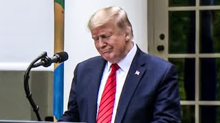 Trump's Brain Melts Trying To Explain Obamagate