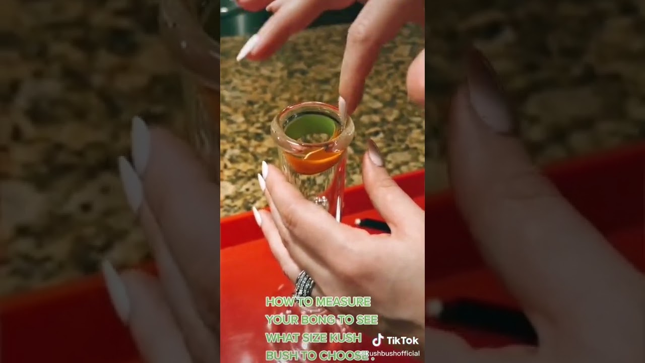 Size of Bong. How to measure a bong to see what size Kush Bush to choose!