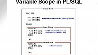 Celebrity learning oracle application developer 151 Wealth