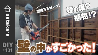 【DIY】#131 こんなことになってたの築53年木造、壁の中がやばっかった