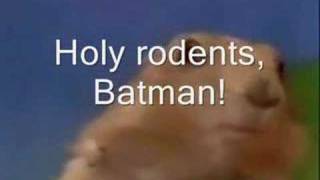 Dramatic Chipmunk Batman