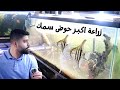 شاركت صديقي سيف بزراعة اكبر حوض سمك عنده منير ليث شاركت صديقي سيف بزراعة اكبر حوض سمك عنده منير ليث