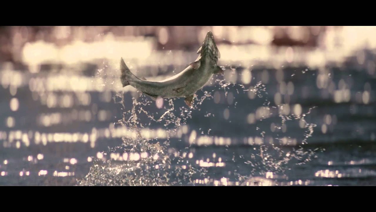 Salmon Fishing in the Yemen Now Playing in Select Cities; Starts