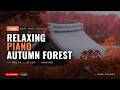 Japanese Autumn Leaves 🍂 1 Hour Relaxing Piano Music | Japanese Nature BGM | Mori Sounds