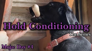 Hold Conditioning Moja | Ep: #4