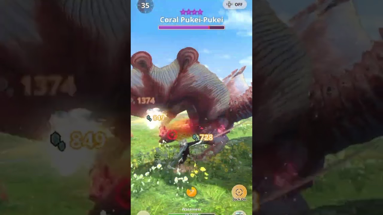 9s Coral pukei vs9.5 Legi LS, out of time 