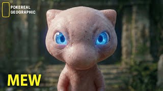 POKÉMON REAL LIFE | Mew’s SECRET: The Origins of All Pokémon (Documentary Style)