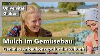 Mulch im Gemüsebau - geniales Konzept für die Zukunft | Universität Gießen & Ines Reinisch | 2023