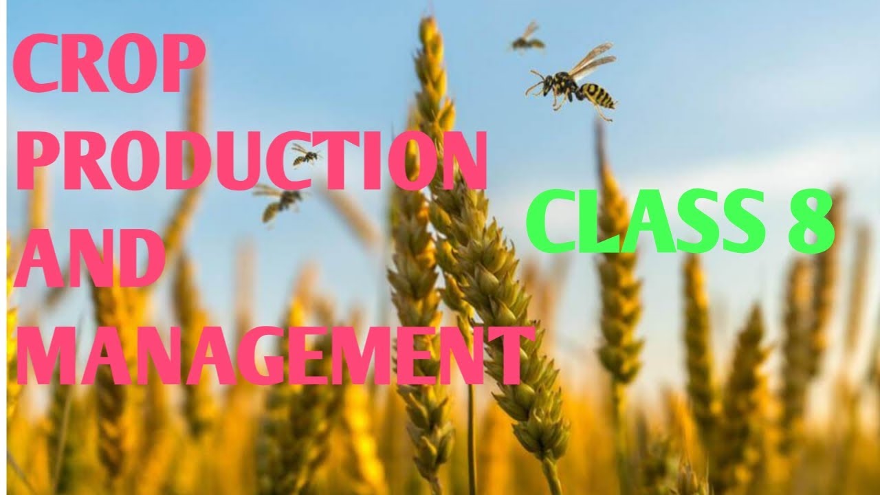Introduction Crop production and management class 8 (hindi) DARSHAN