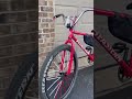 Big ripper #bike #bikeshorts
