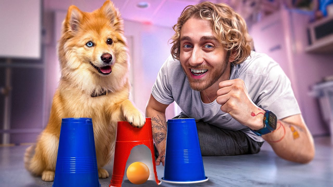 JE TESTE L'INTELLIGENCE DE MON CHIEN (Ft mon bébé Ekko trop mignon)