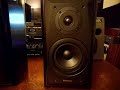 TECHNICS SB-CA10 2WAY-SPEAKER SYSTEM