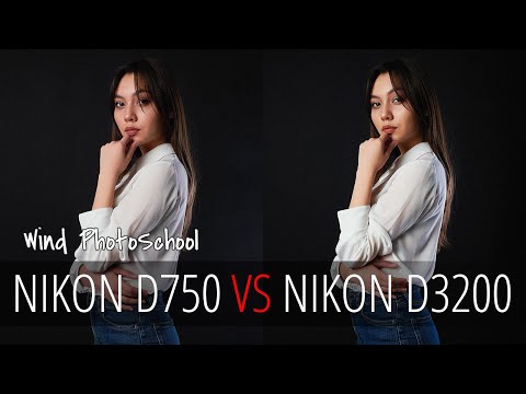 Сравнение любительского и профессионального фотоаппарата (Nikon d750 VS Nikon d3200)