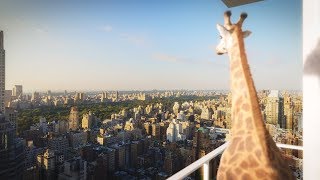 200 East 59th Film | Full Length 200 East 59th Film | Full Length