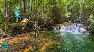 Camping, Fishing, and Exploring West Virginia's Most Remote Wilderness! (Wild Brook Trout)