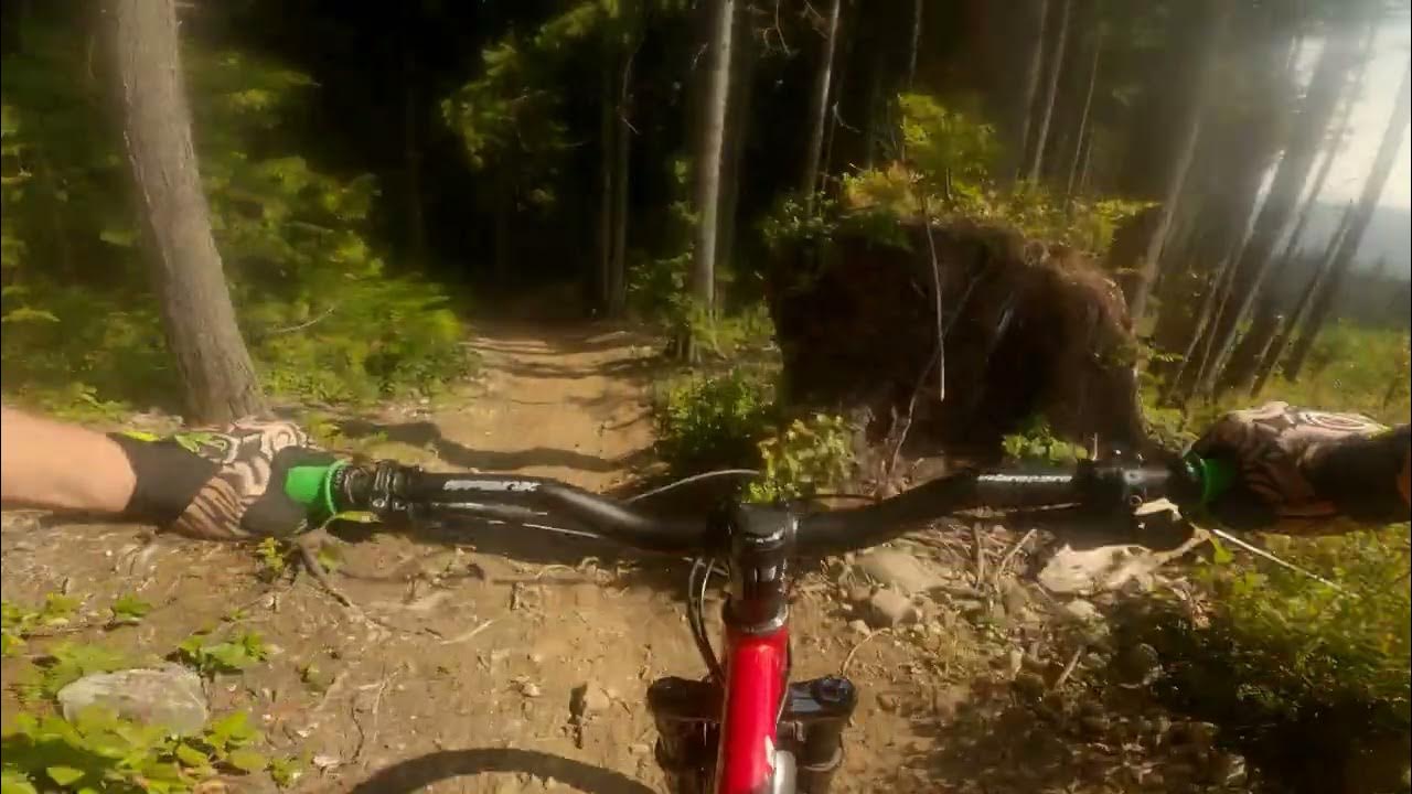 Hardtail Laps Pabst Blue Ribbon YouTube
