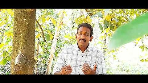 മനസ്സോടെ ശാപ മരത്തിൽ തൂങ്ങിയ മനുവേലെ ദൈവ ജാതാ....